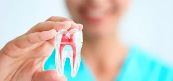 Endodontia - Tratamento de Canal em Blumenau - Odontologia Premier